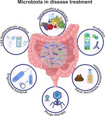 diagram outlining various treatments to restore gut health - balanced diet, probiotics, phage treatment, engineered bacteria, live biotherapeutics